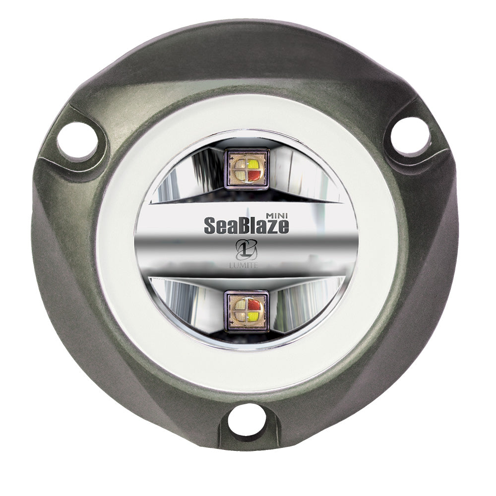 SeaBlaze Mini LED marine light with dual-color RGBW LEDs and stainless housing for boat illumination