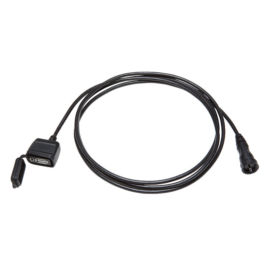 Black USB and auxiliary input cable for car audio systems with protective cap